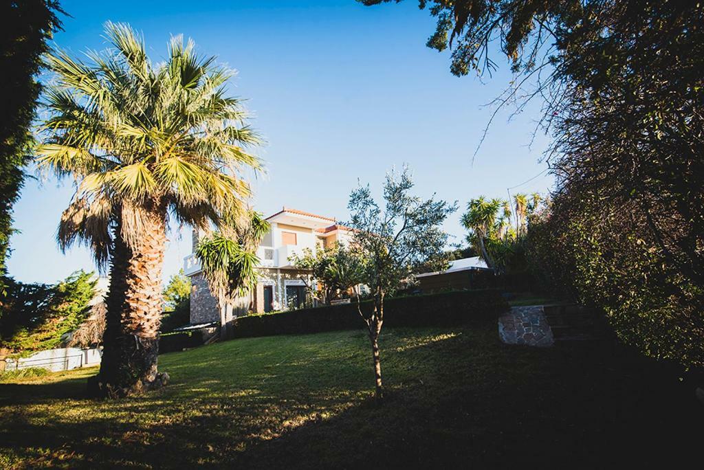 Villa Soula أنافيسوس المظهر الخارجي الصورة